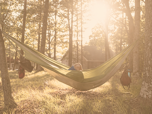 Person relaxing in a hammock between trees in a sunlit forest.