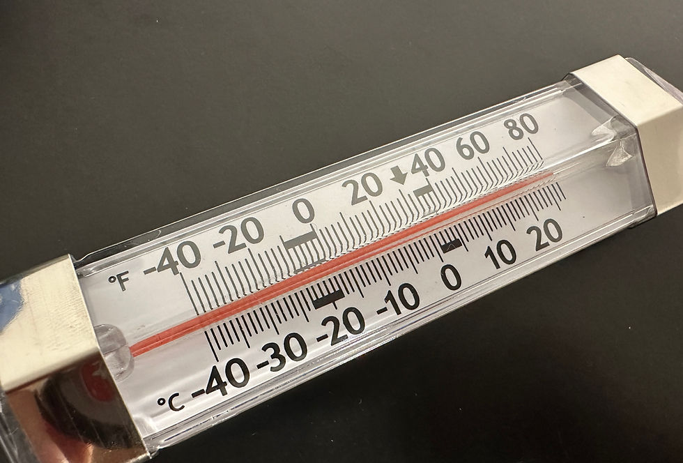 Thumbnail: Fridge/Freezer Thermometer