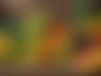 Maximizing Nutrient Absorption: The Standard Approach to Getting Nutrition from Food