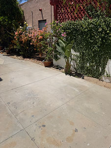 Junk Removal transformation done fast
