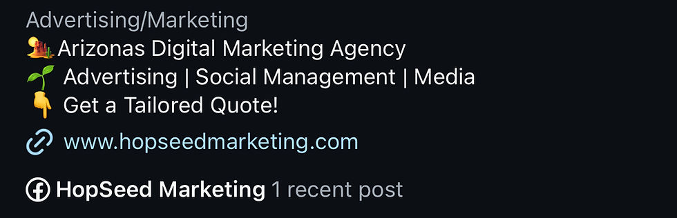An optimized Instagram profile bio