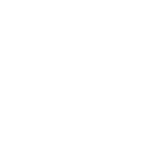 local-google-ads-agency.png