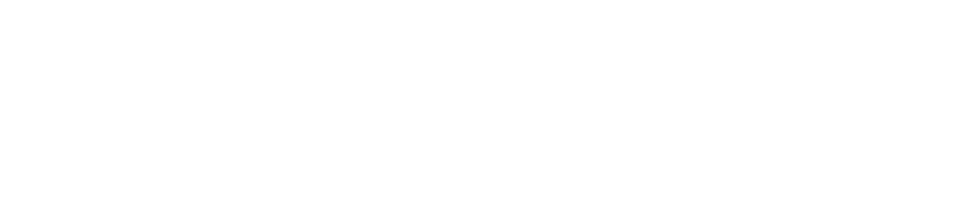 Large Logo White.png