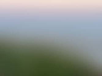 Consenting to Nourishment