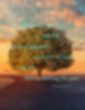 “You must give up the life you (2).png