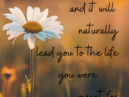 Embrace Your True Nature