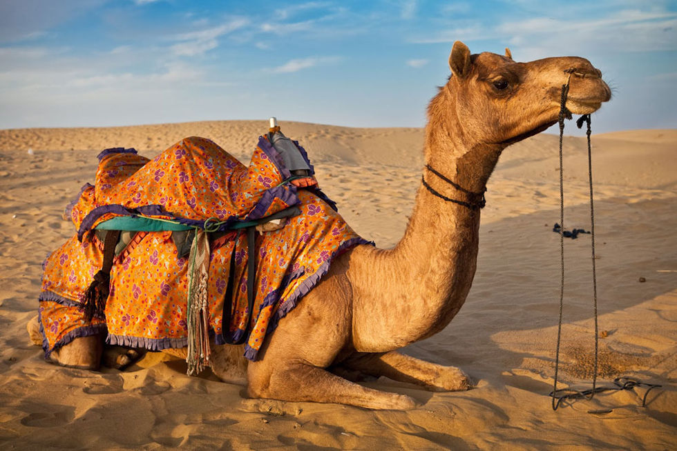 Places to Visit in Rajasthan, India