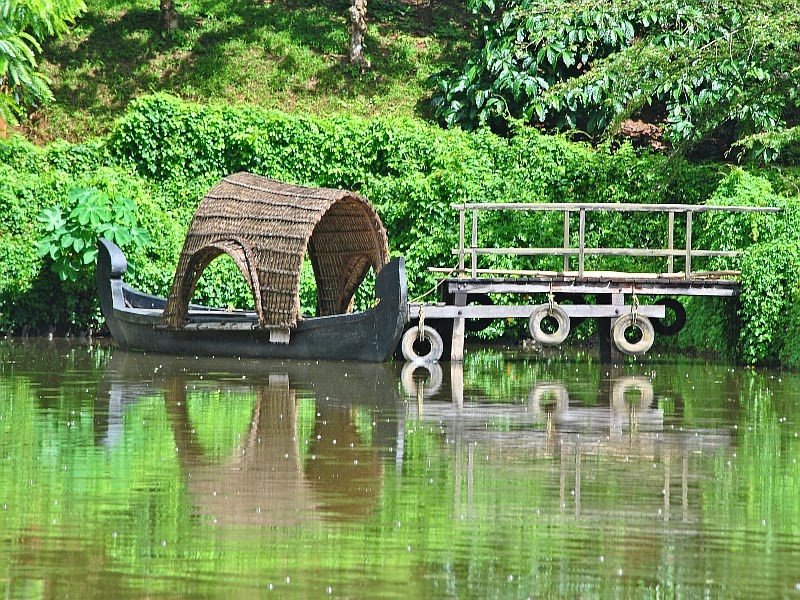 Tour and Travel Information and Tips on Coorg