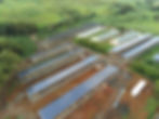 Bâtiments agricoles solaires