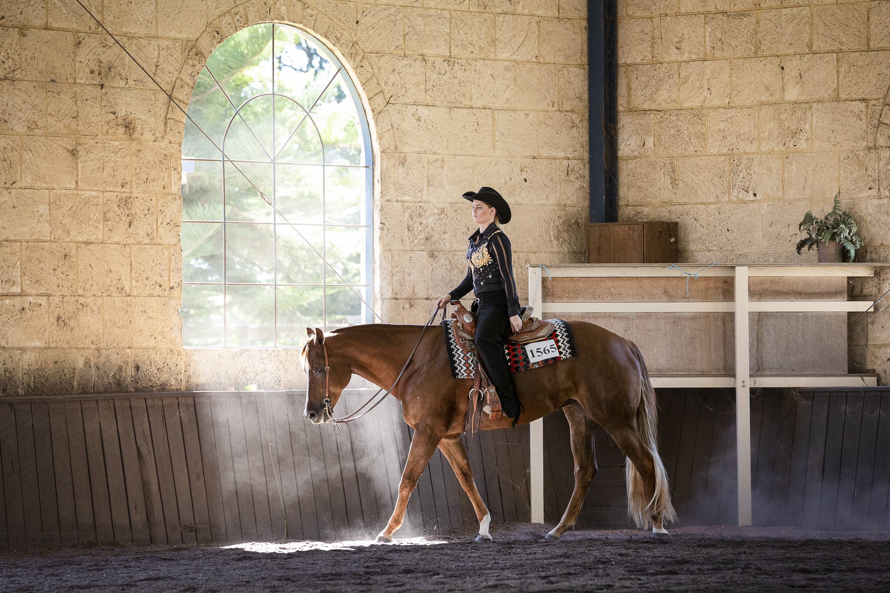 Western Australian Paint Horse Association Inc