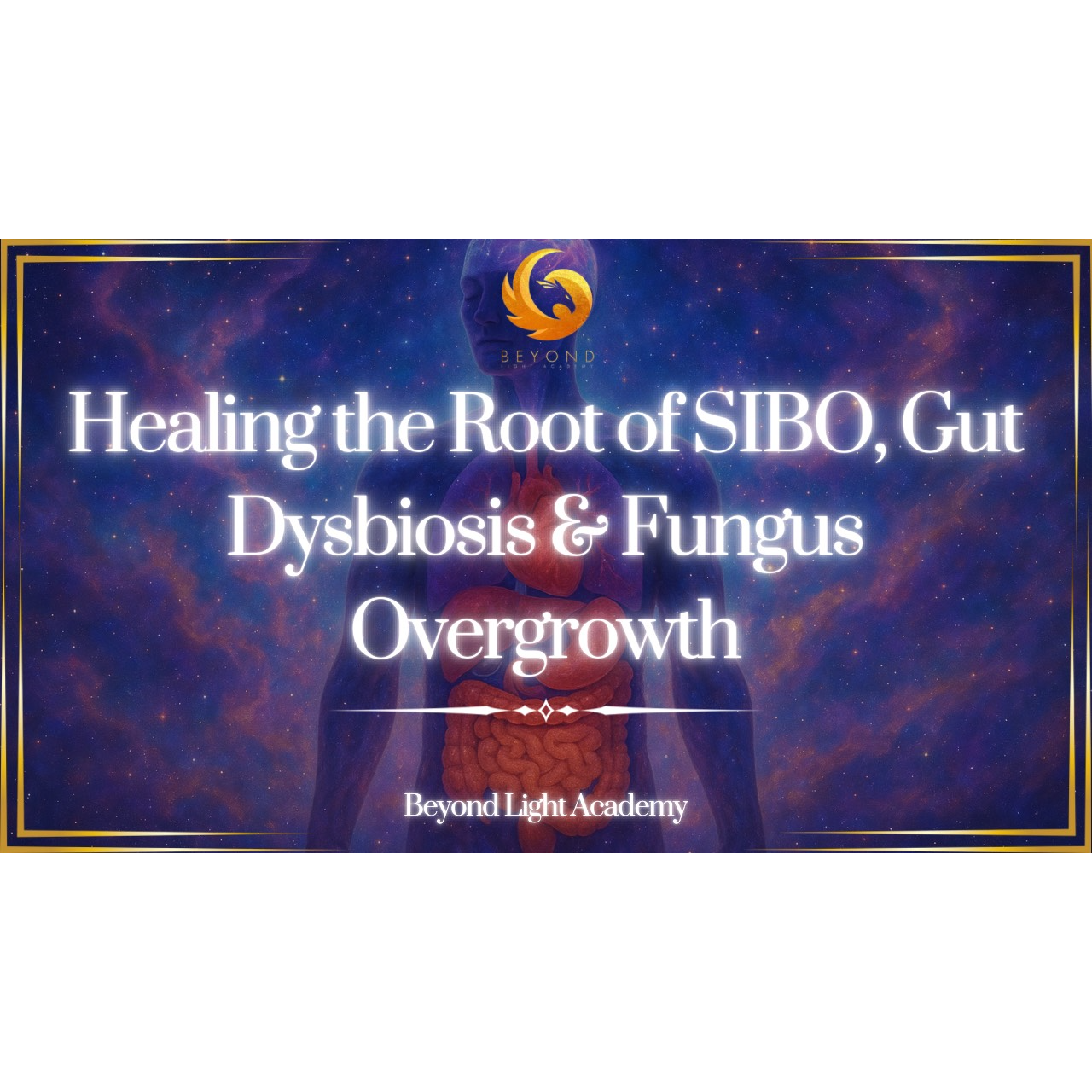 Healing the Root of SIBO, Gut Dysbiosis & Fungus Overgrowth