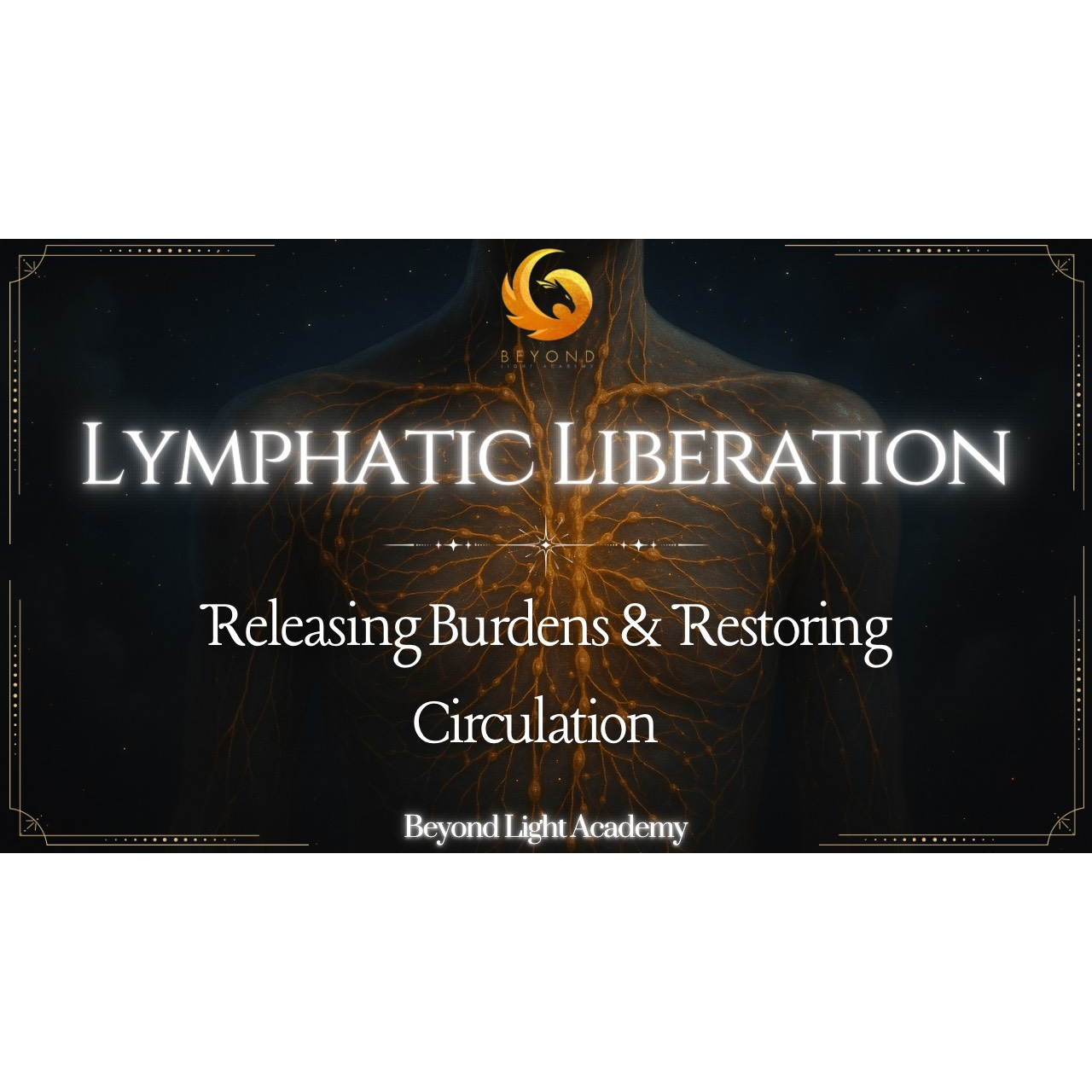 Lymphatic Liberation: Releasing Burdens & Restoring Circulation Detox Support