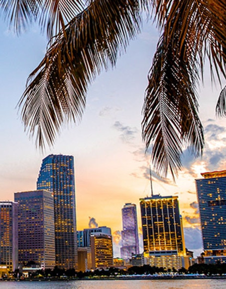 Miami_416x700_Desktop_0.jpg