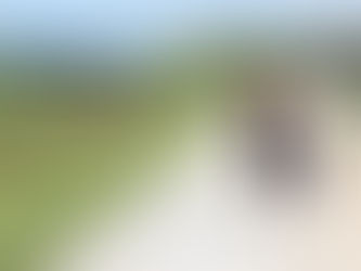 実家に帰らせて頂きます