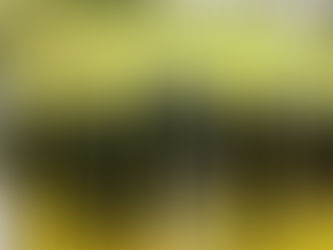 良い体験ができました