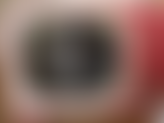 猫を飼い始めて