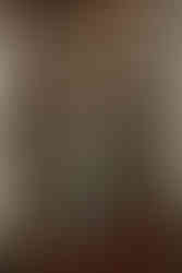 Bridgerton themed party in Stockholm. Party planner Sweden