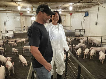 Pig Prediction and Fertility Funding