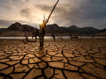 California Drought Drags, Water Dwindles