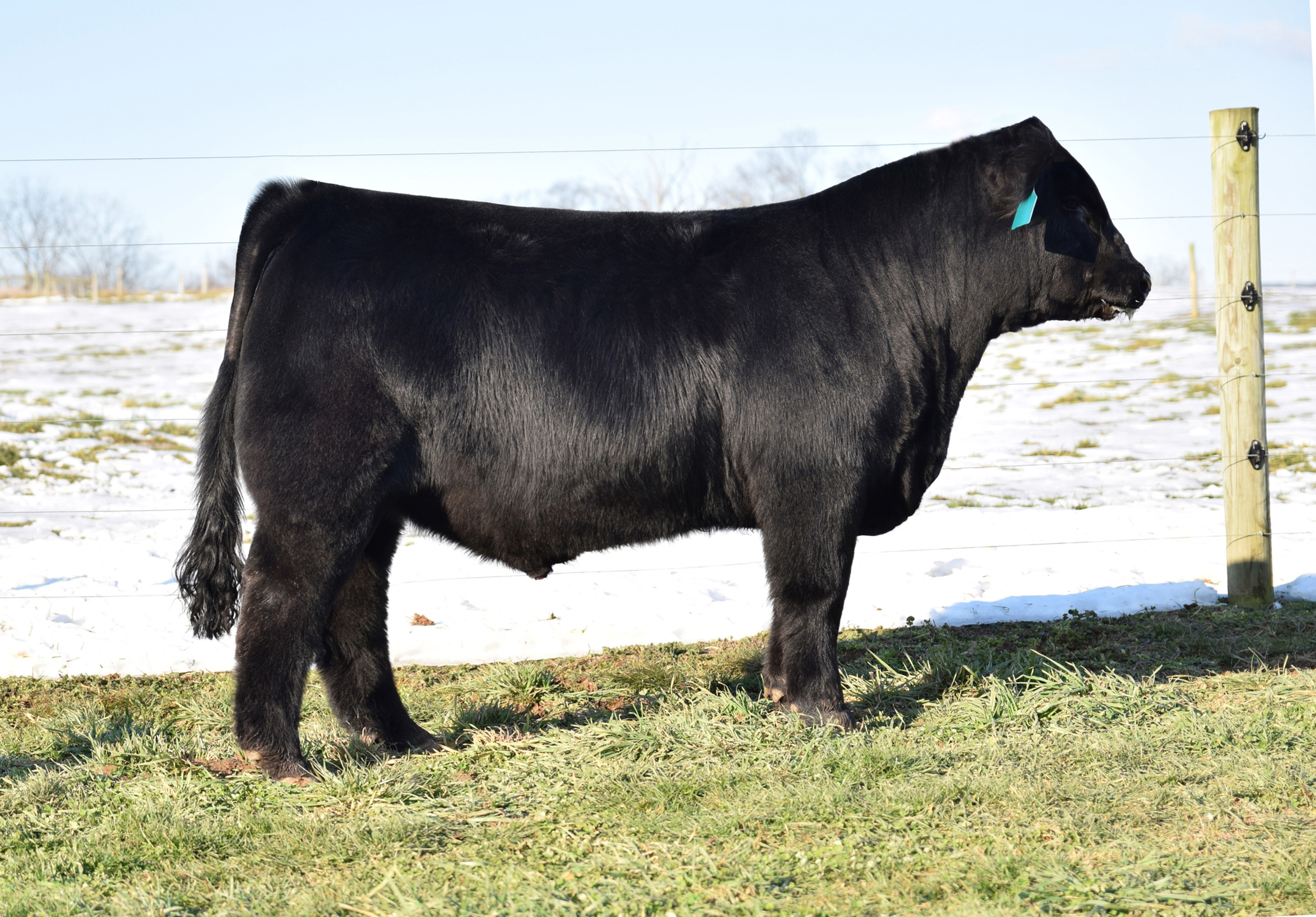 TASF Hold My Beer 402H