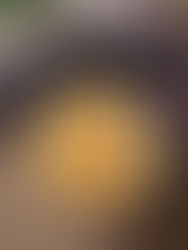 Vegan Creamy Macaroni and Cheese 