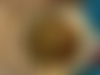 Vegan One Pot Vegetable Teriyaki Stir Fry