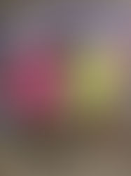 Dragon Fruit Smoothie Bowl