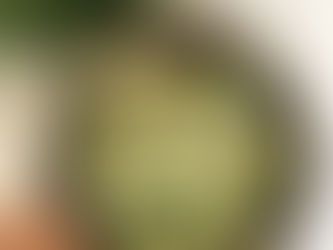 Why Eating Raw Is Important