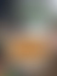 Raw Creamy Tomato Soup