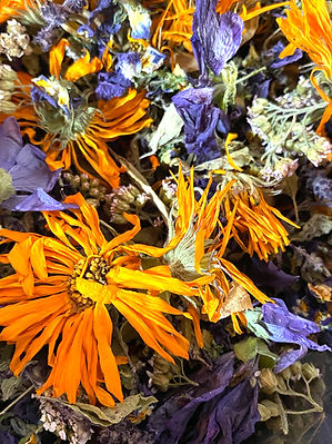 IMG_9344 2_edited.jpg