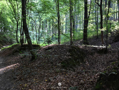 Baczyn - Rakowiec
