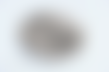 Renata Rostworowska - Sprawiedliwa wśród Narodów Świata