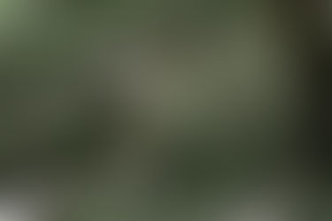 Belwender - a po co nam właściwie ten melafir?