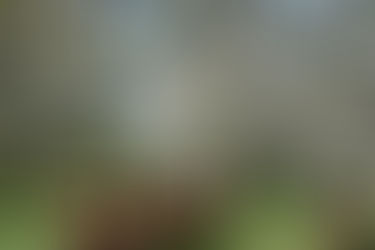 słodkiego miłego życia