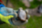 DSC00199