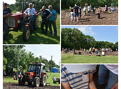 DSC_3713-COLLAGE.jpg