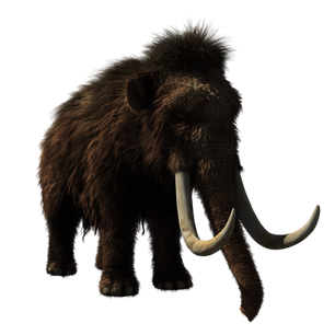 stek z mamuta, nosorożec na przystawkę