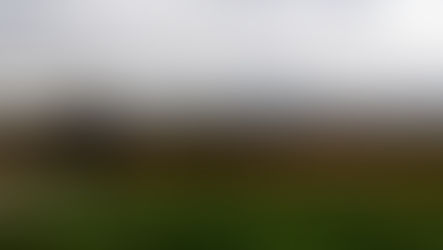 kameralne osiedle z widokiem na Wisłę