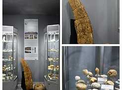 DSC_9933-COLLAGE.jpg