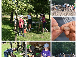 DSC_0495-COLLAGE.jpg