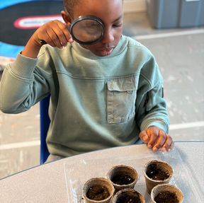 Spring Fun Blooms in Primary: Games, Gardening, and Ms. Erin’s Class!