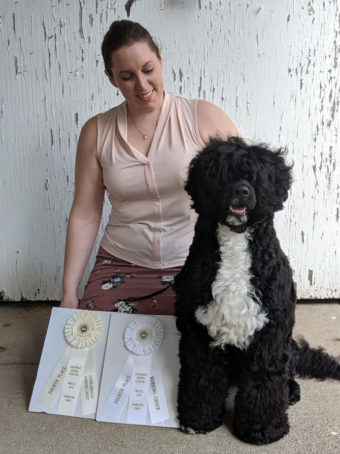 Rebel -- Group 4 AKC & Group 4 Owner Handler