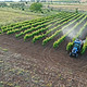 DJI_0922.JPG