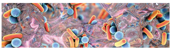 Lab automation and robotics – accelerating the pace of antimicrobial therapy