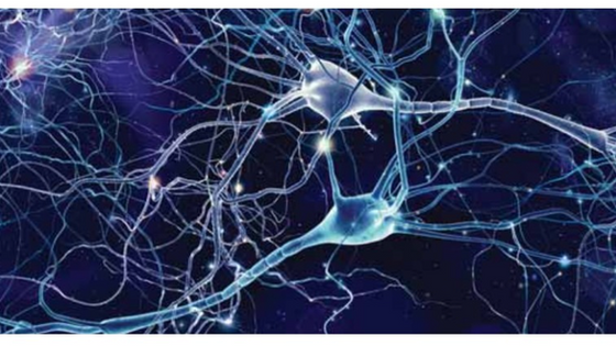 Flow Cytometry: Accelerating Neuroscience Research