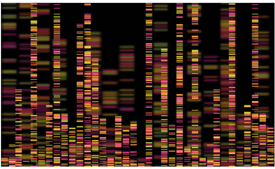 NGS: hunting mysterious ‘Dark Matter Genome’ towards rewriting the rules of human genetic diseases