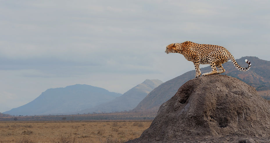 AEnB2Uri1i0DmhjVQdzSKTCMCOI_hJdFMUCJS42jtT4RdMverS07ov3Sep5Xfry1ogqPBwv85eCqTpxr4hAGq-Fo75