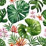 Plants, white background.jpg