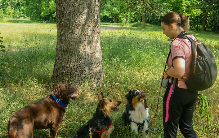 Manon's Paw en balade