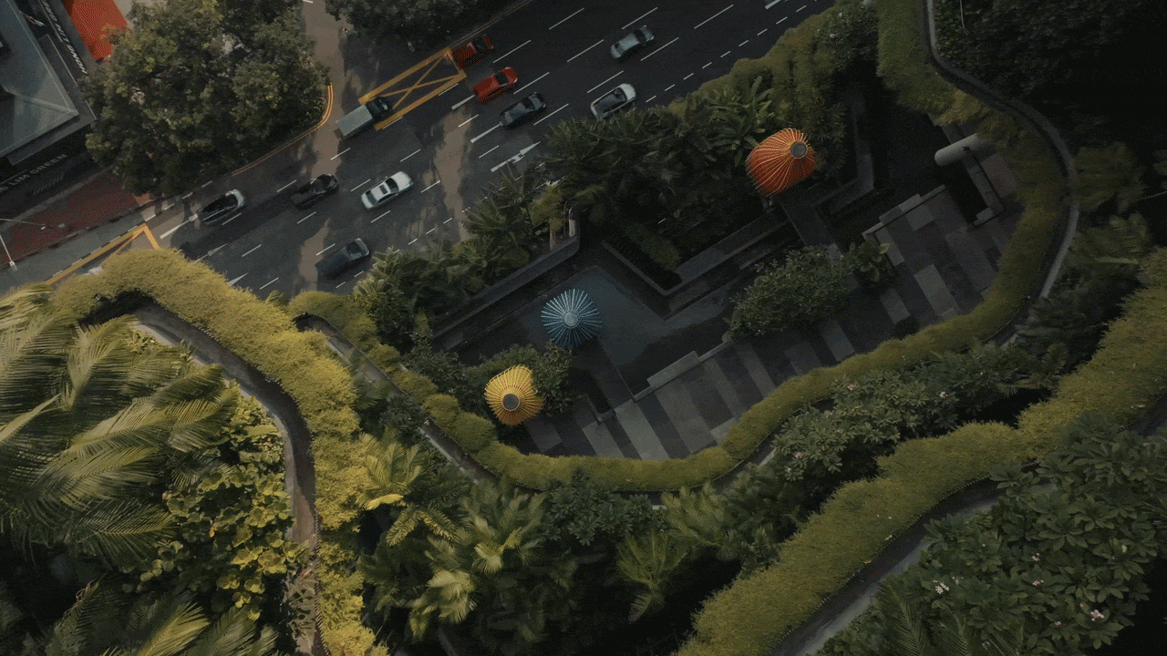 PPHG-Pickering-3.gif